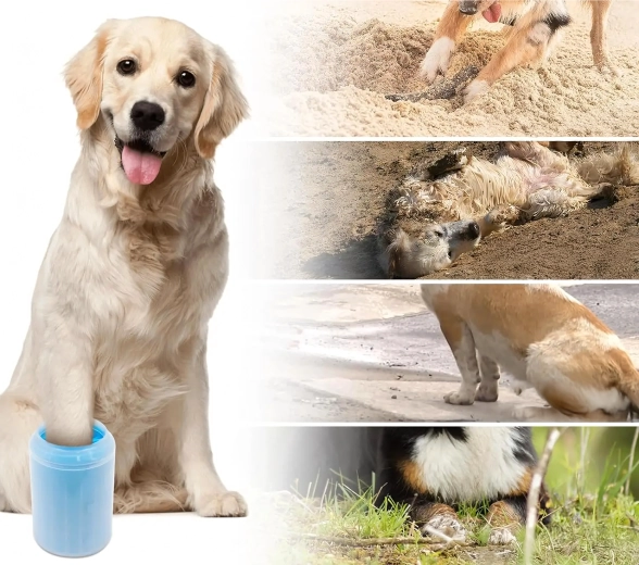 Čisté auto aj podlaha po každej prechádzke