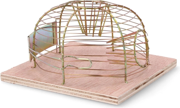 Humánny a bezpečný odchyt