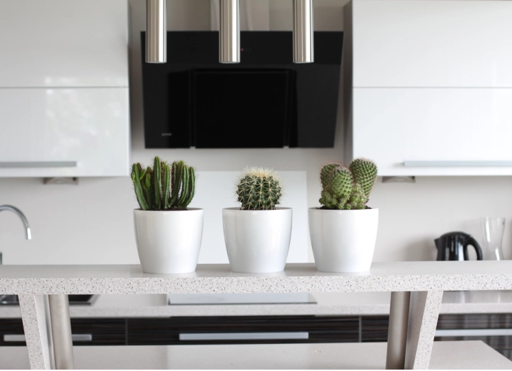 Všestranný pre interiér aj exteriér