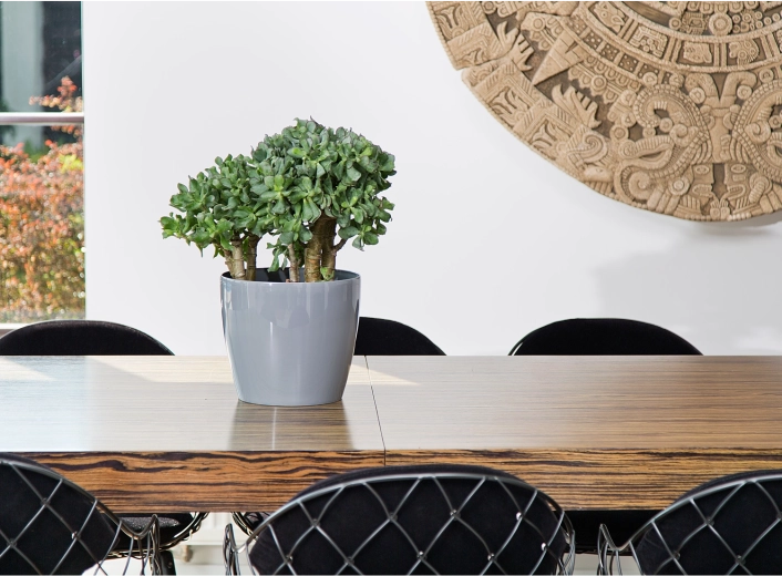 Ideálny do interiéru