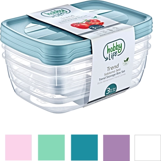 Sada 3 obdĺžnikových úložných boxov Trend Box 2 l