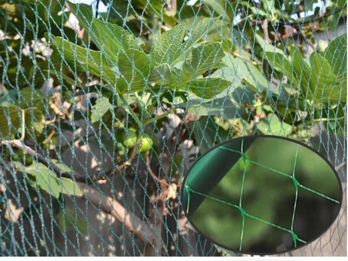 Diskrétna ochrana v zelenej farbe