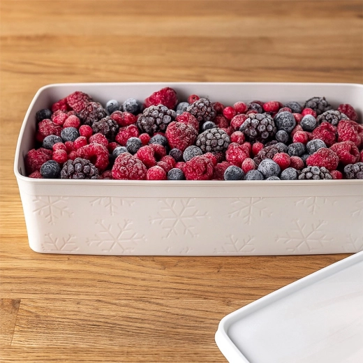 Bezpečné mrazenie a organizácia