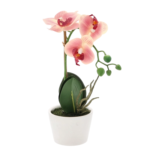 Kompaktná dekorácia do každého priestoru