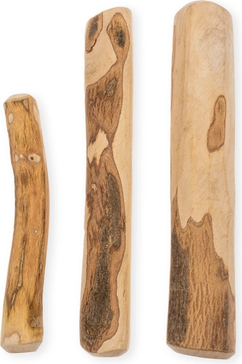 Podpora dentálnej hygieny