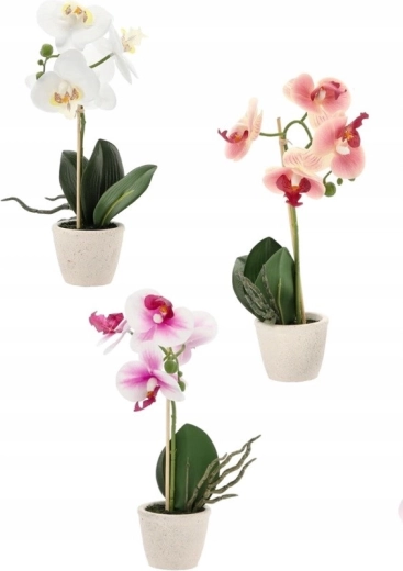 Mix troch elegantných farieb