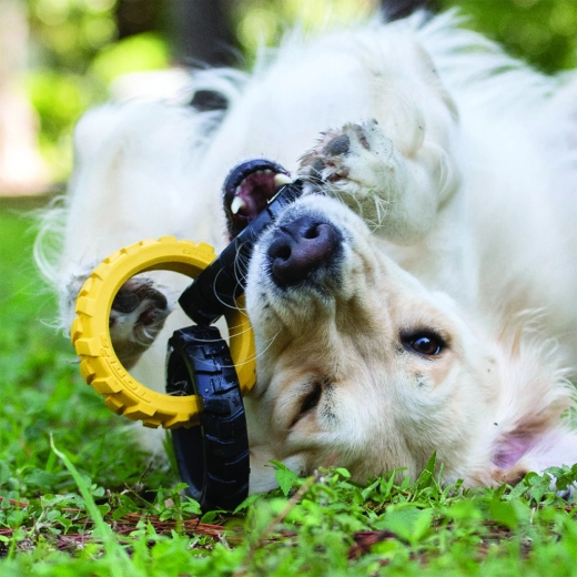 Interaktívna zábava doma aj vonku