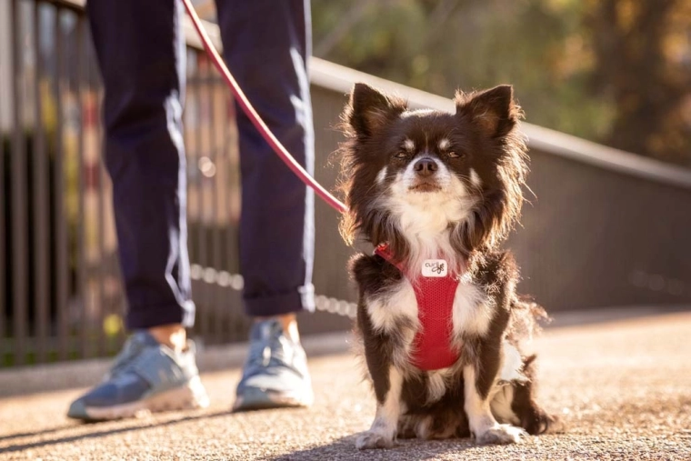 Priedušný Air-Mesh s chladiacim efektom