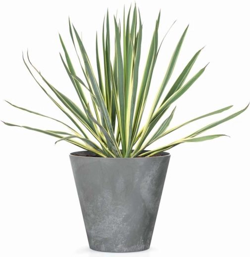 Priemer 40 cm pre zdravý rast rastlín
