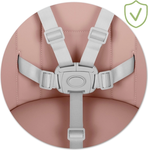 Maximálne bezpečie s 5-bodovým pásom