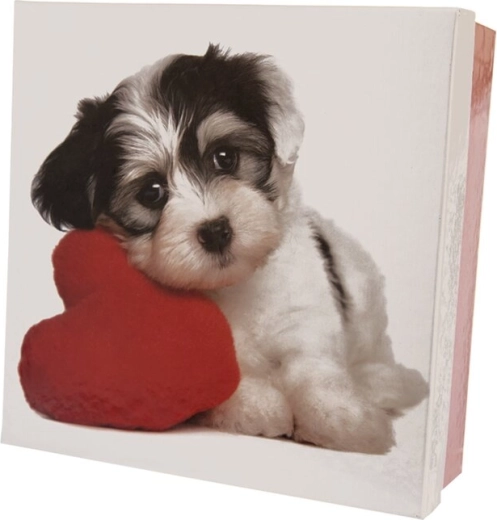 Darčeková papierová krabička DOG bielo-červená 16 × 16 × 6 cm