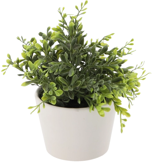Umelý krušpán v bielom kvetináči, 30 cm