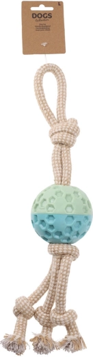 Skvelá na aport aj preťahovanie