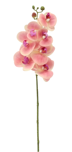 Bez údržby a vždy svieži vzhľad