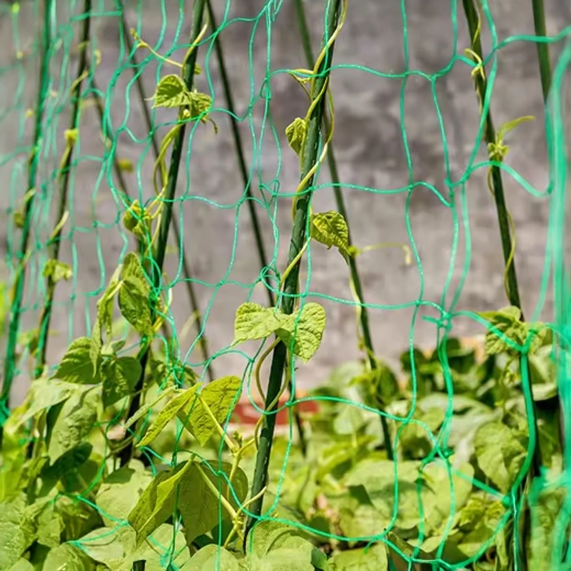 Vertikálna opora pre bohatú úrodu