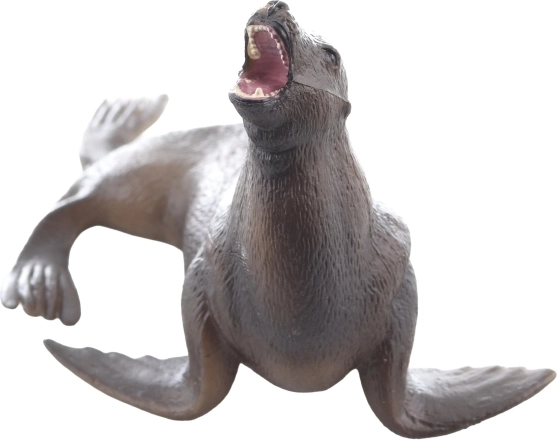 Skvelá na učenie o morských zvieratách