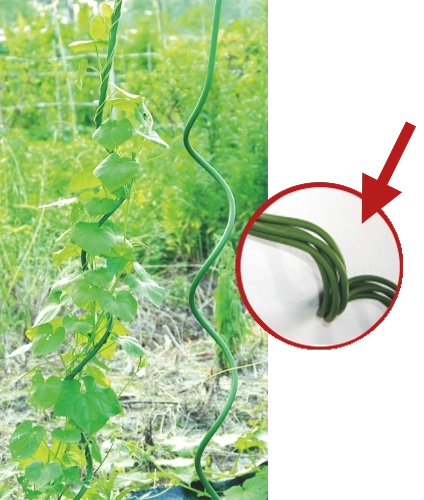 Prirodzené vedenie rastu vďaka špirále