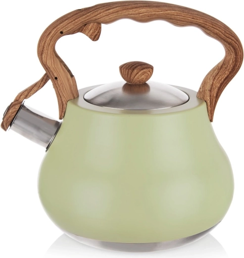 Pískacia nerezová kanvica GREENISH 3 l