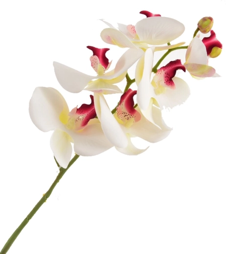Umelá orchidea biela 72 cm