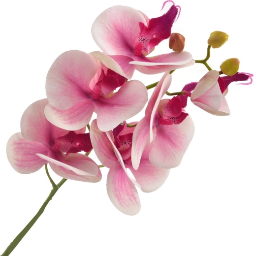 Umelá orchidea ružová 72 cm