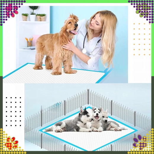 Čistota doma aj na cestách