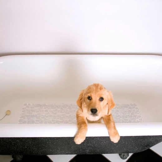 Pohodlie a ochrana chodidiel