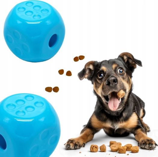 Zábava a tréning v jednom