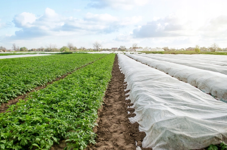 Udrží teplo a urýchli štart sezóny