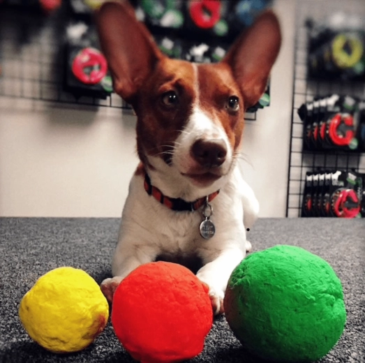 Zábava doma, vonku aj vo vode