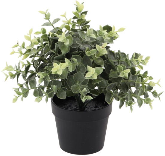 Umelý eukalyptus v kvetináči 22 cm