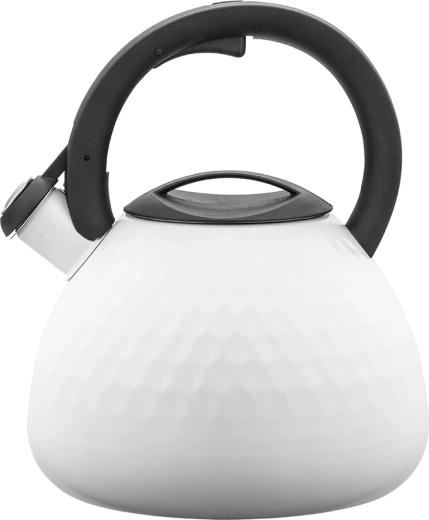 Nerezová kanvica Logan 2,7 l
