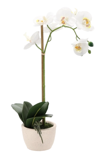 Stabilný a elegantný kvetináč