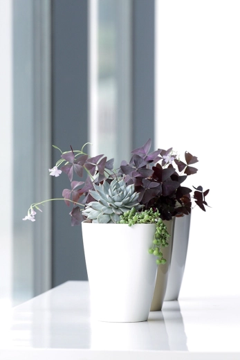 Štýlový doplnok do interiéru aj na balkón