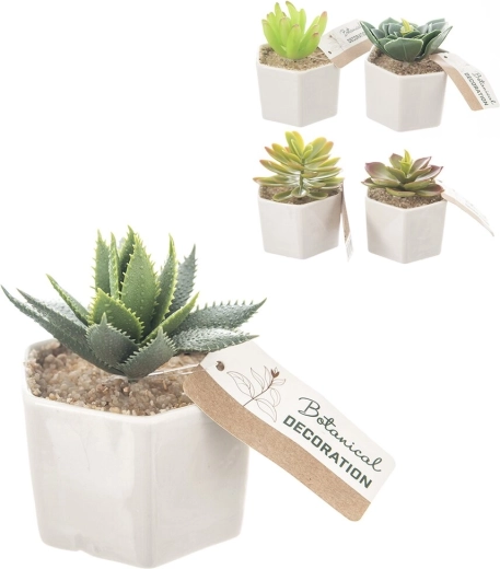 Dekoratívna kvetina v keramickom kvetináči 6 × 6 × 10 cm (5 variantov)