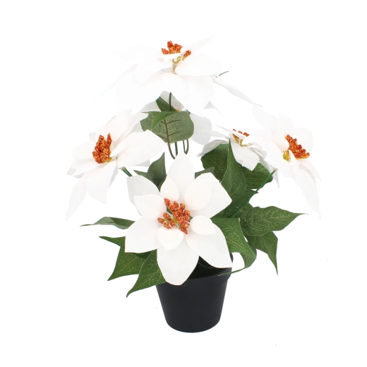 Syntetická vianočná hviezda v čiernom kvetináči 35 cm, biela