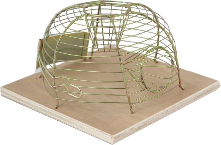 Živolovná pasca na myši 14 × 14 cm