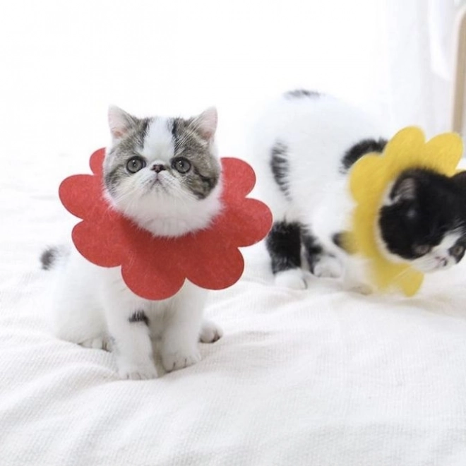 Mäkký pooperačný ochranný golier pre domáce zvieratá, červený – veľkosť L