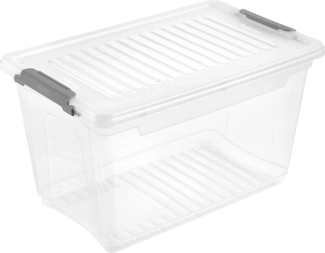 Plastový úložný box s vekom Leonie 5,4 l