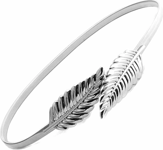 Bq53h dámsky opasok 68-100 cm strieborný