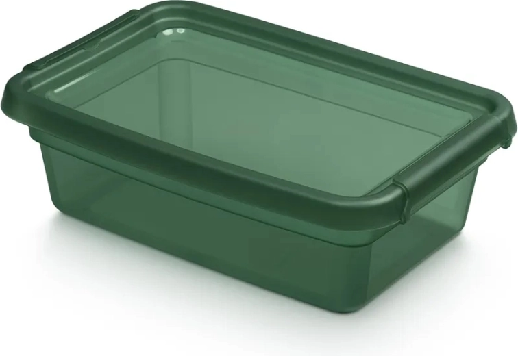 BASESTORE úložný plastový box s vekom a klipsami 3 l pine