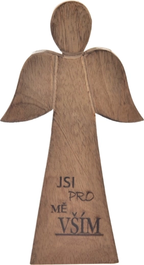 Anjel mango „Si pre mňa“