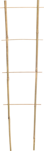 Dvojitá bambusová opora pre popínavé rastliny 45 cm