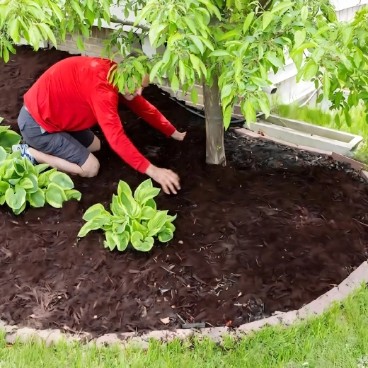 Záhradná textília proti burine 70 g/m², 1,1 × 50 m, čierna, UV stabilizovaná