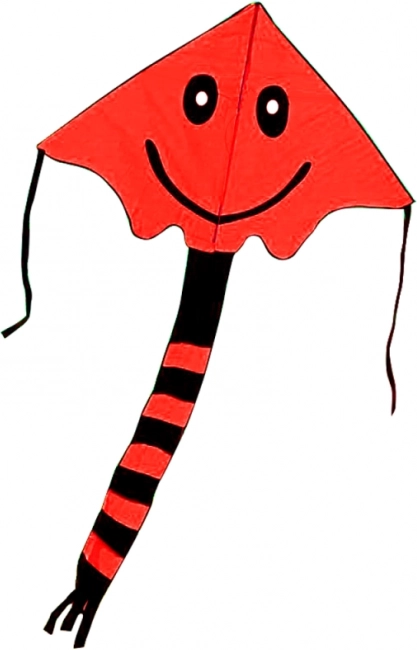 Lietajúci šarkan s úsmevom 80 × 60 cm