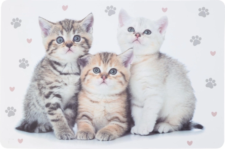 Plastové detské prestieranie so zvieratami 43,5 × 28,5 cm