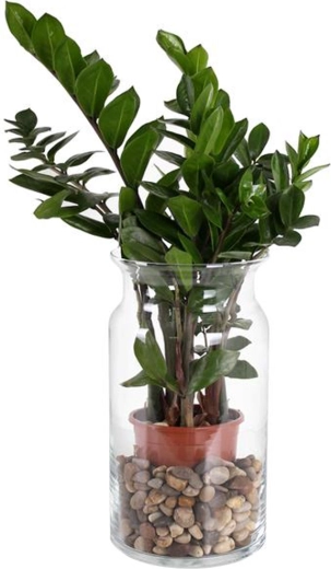 Sklenená váza Bose 15,5 × 29,5 cm