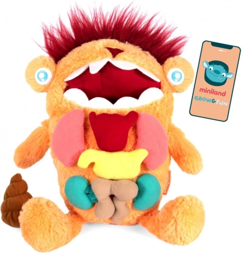 Vzdelávacia hračka Kreatura - Objav úžasné vnútro