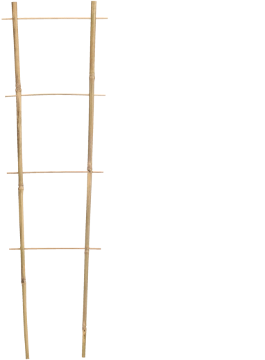 Bambusová záhradná opora 90 × 35 cm, priemer 10/12 mm