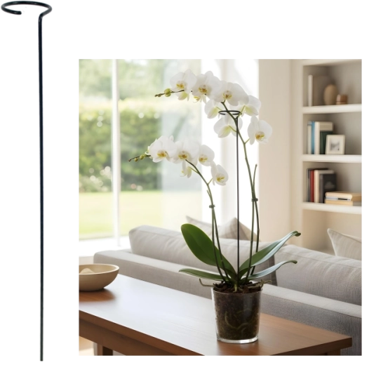 Jednoduchá opora pre rastliny 60 cm