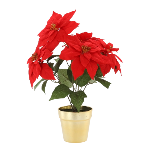 Umelá vianočná hviezda v zlatom kvetináči, 49 cm